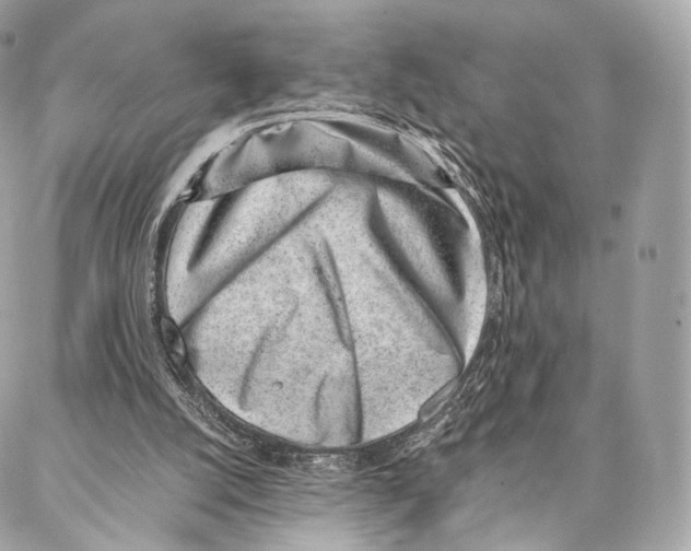 X0000086970056200705141701