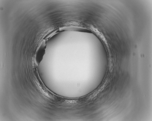 X0000086970057200705141701