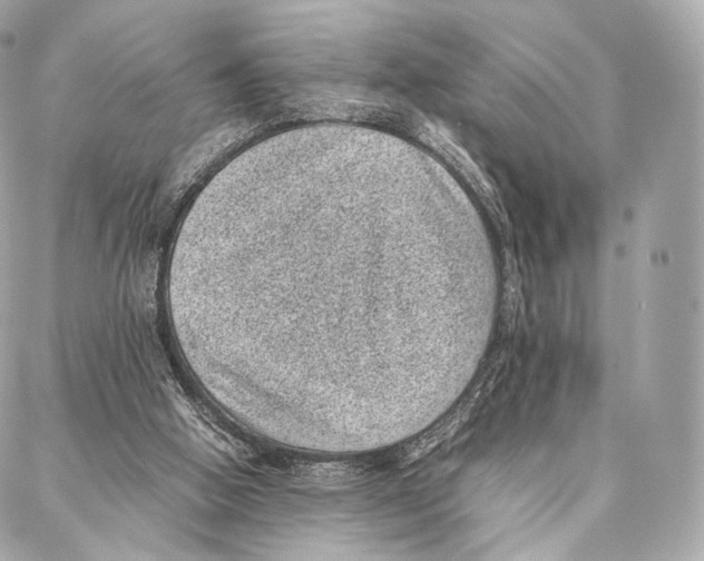 X0000086970058200705141701