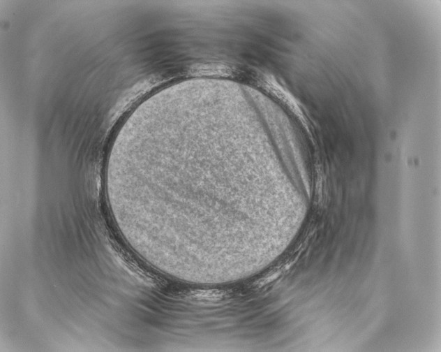 X0000086970059200705141701