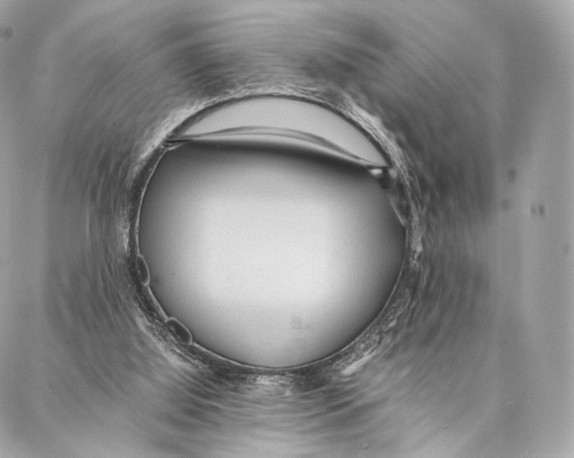 X0000086970060200705141701