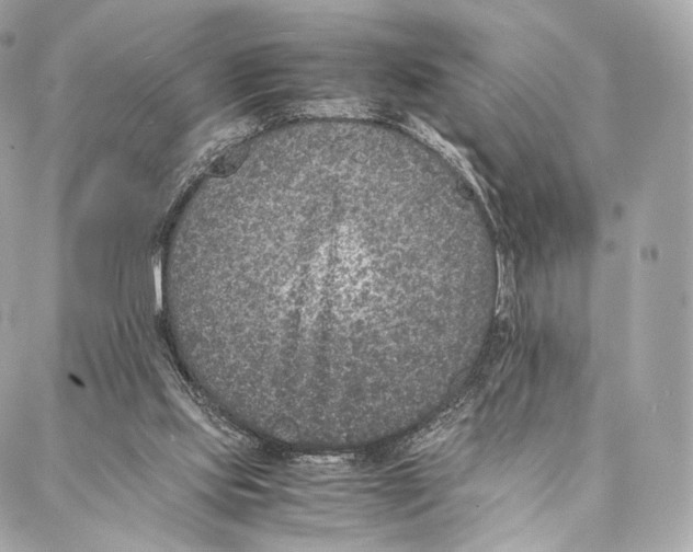 X0000086970061200705141701