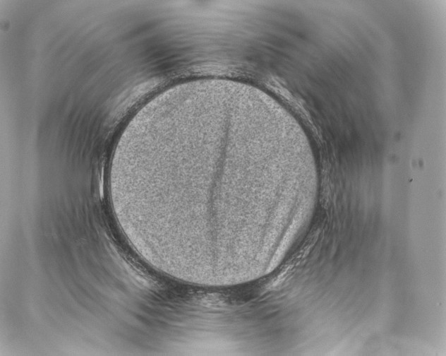 X0000086970062200705141701