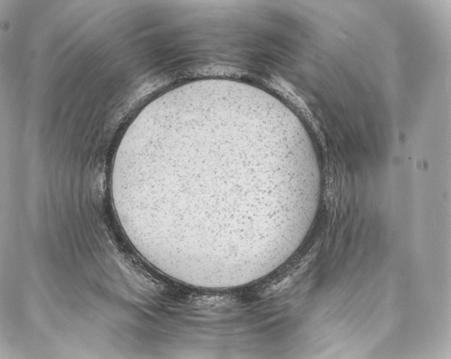 X0000086970063200705141701