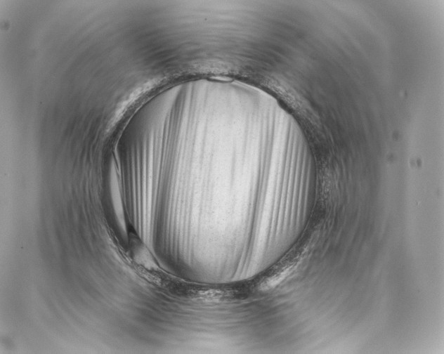 X0000086970064200705141701