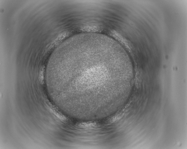 X0000086970065200705141701