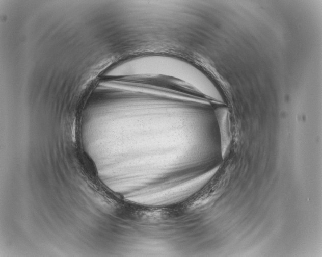 X0000086970068200705141701