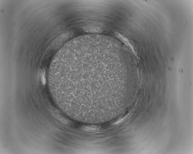 X0000086970069200705141701