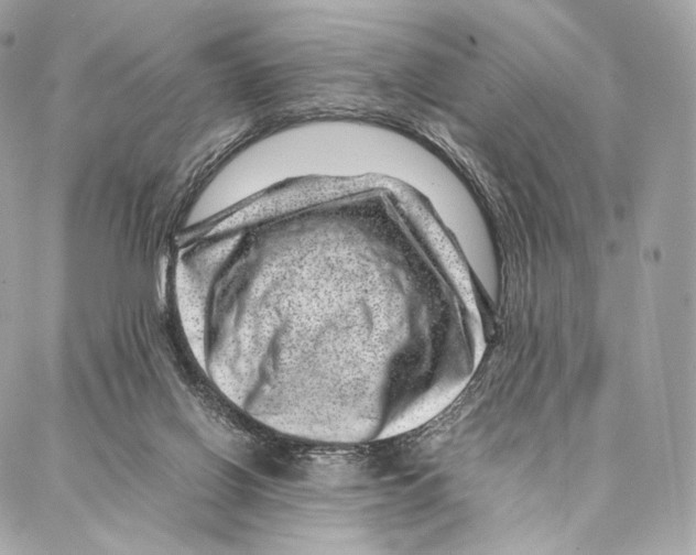 X0000086970070200705141701