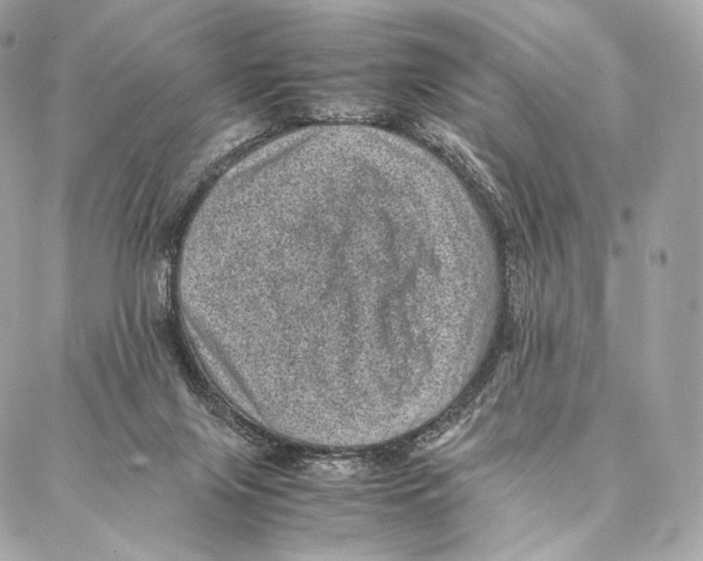 X0000086970071200705141701