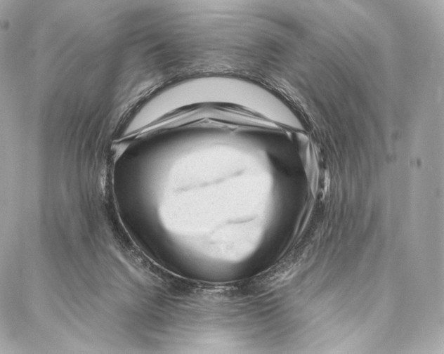 X0000086970072200705141701