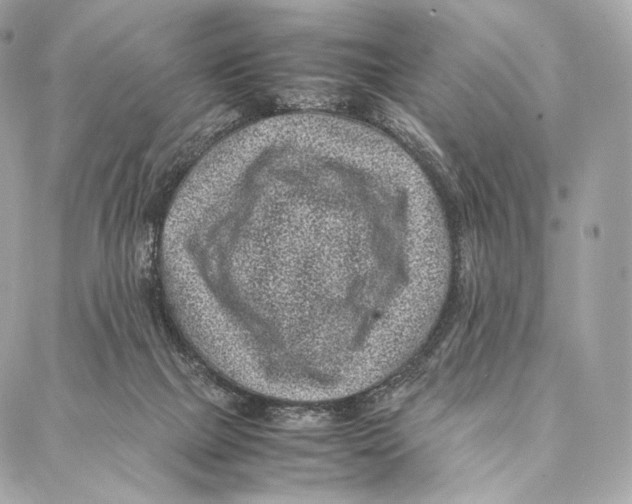 X0000086970073200705141701