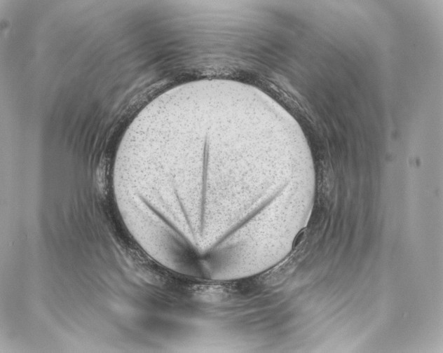 X0000086970074200705141701