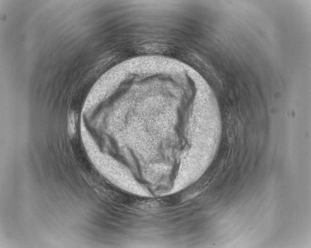 X0000086970075200705141701