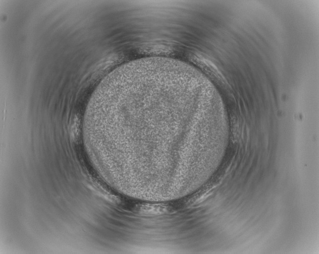 X0000086970077200705141701