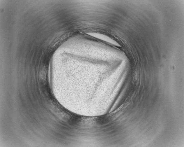 X0000086970078200705141701