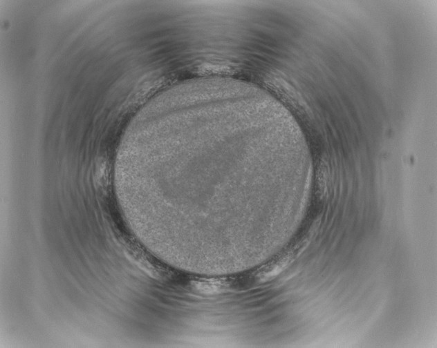 X0000086970079200705141701