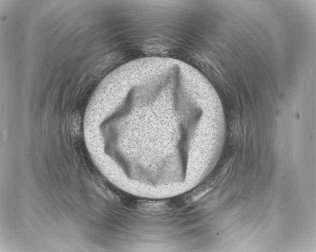 X0000086970081200705141701