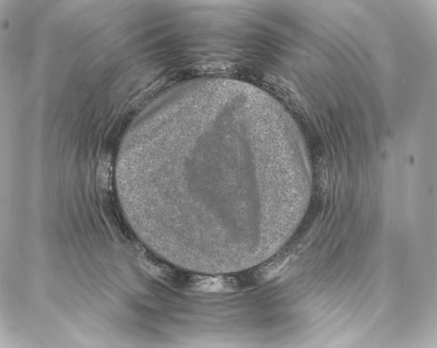 X0000086970083200705141701