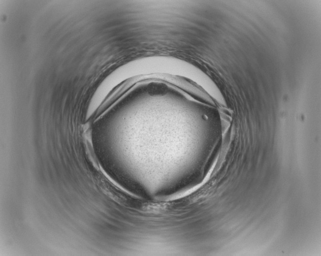 X0000086970084200705141701