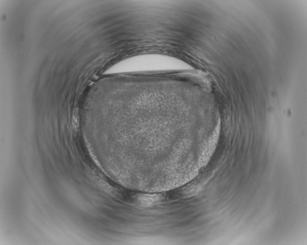 X0000086970085200705141701