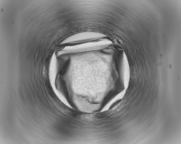 X0000086970086200705141701