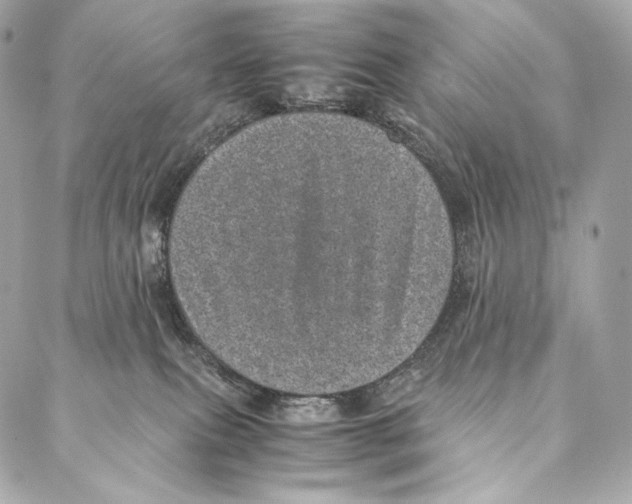 X0000086970087200705141701