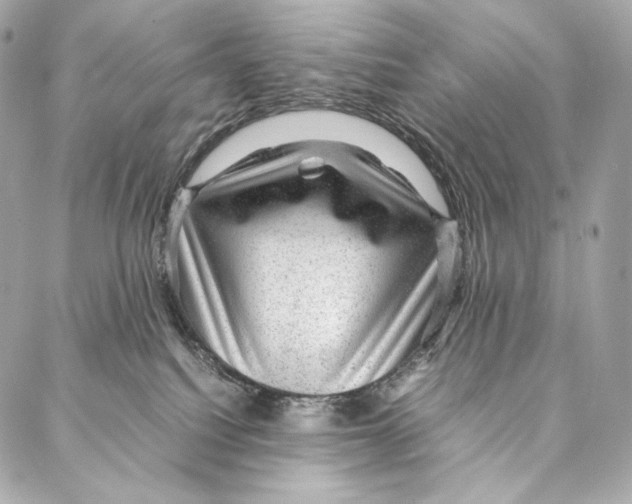 X0000086970088200705141701