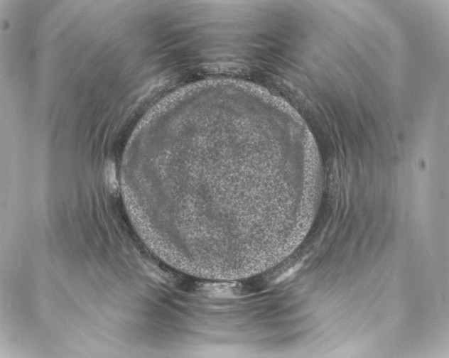 X0000086970089200705141701