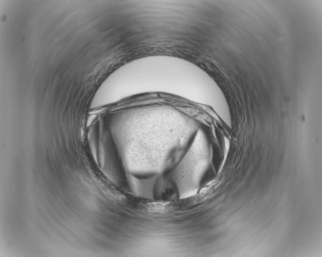 X0000086970090200705141701