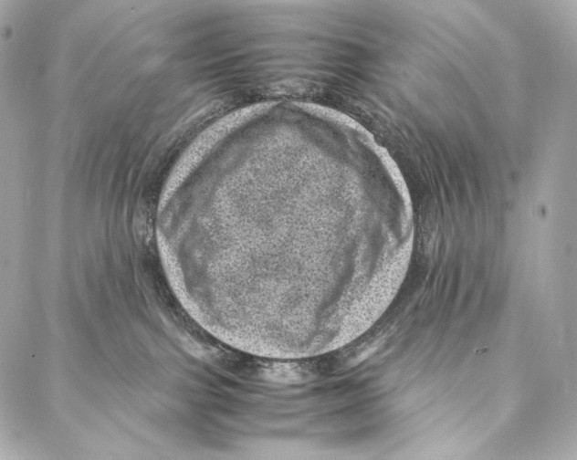 X0000086970091200705141701