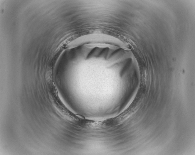 X0000086970092200705141701