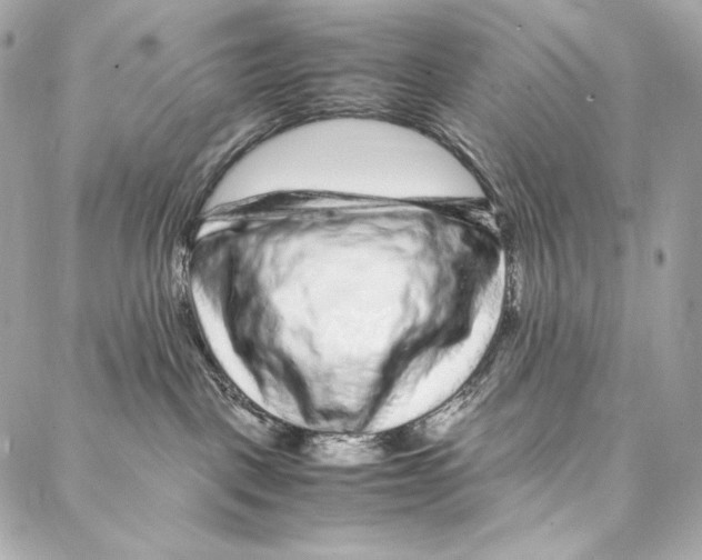 X0000086970093200705141702