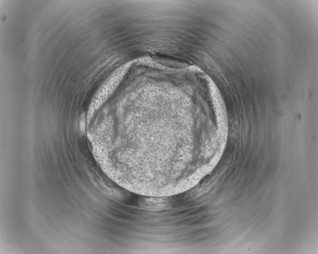 X0000086970095200705141702