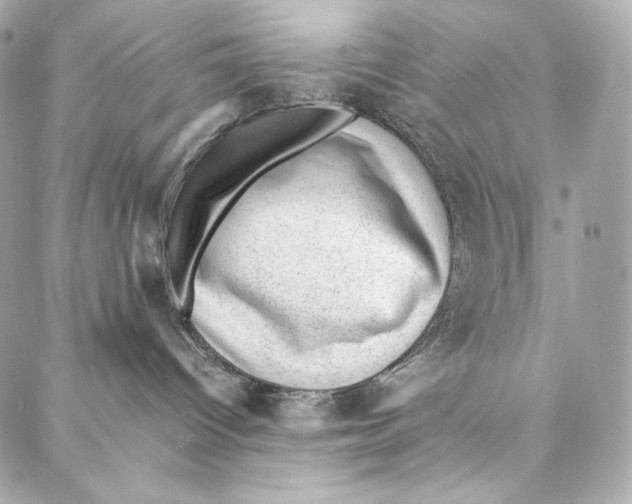 X0000086970096200705141702