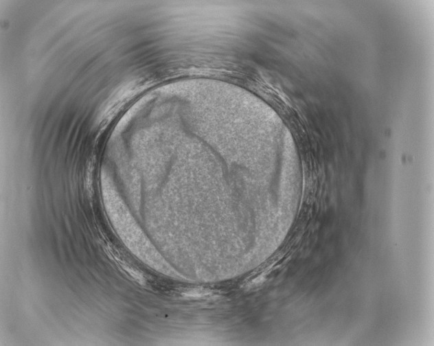 X0000086970098200705141701