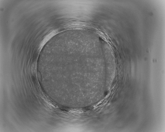 X0000086970099200705141701