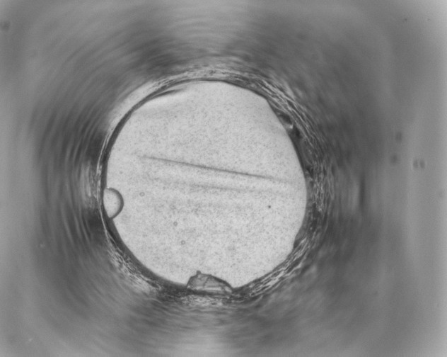 X0000086970100200705141701