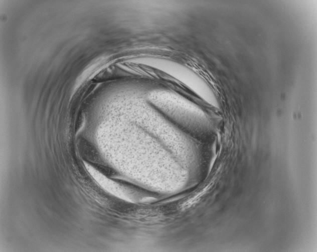 X0000086970101200705141701