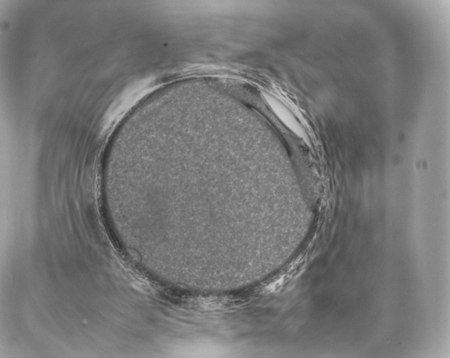 X0000086970103200705141701