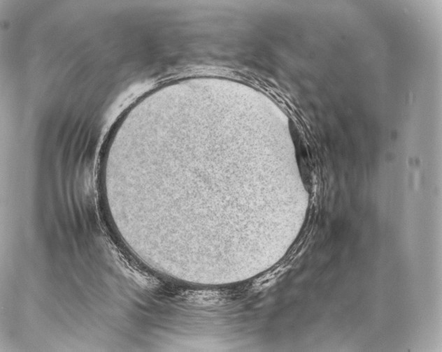 X0000086970104200705141701