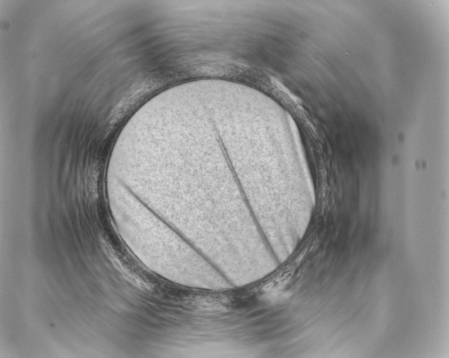 X0000086970106200705141701