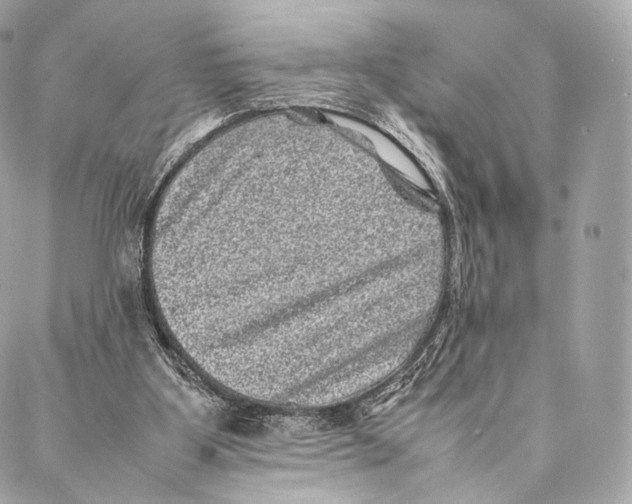 X0000086970107200705141701