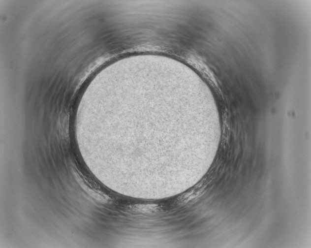 X0000086970108200705141701