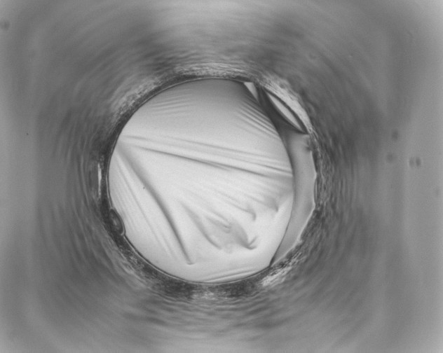 X0000086970109200705141701