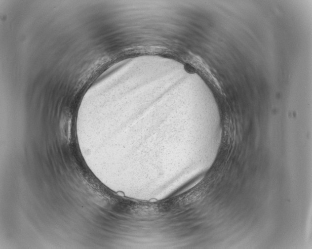 X0000086970110200705141701