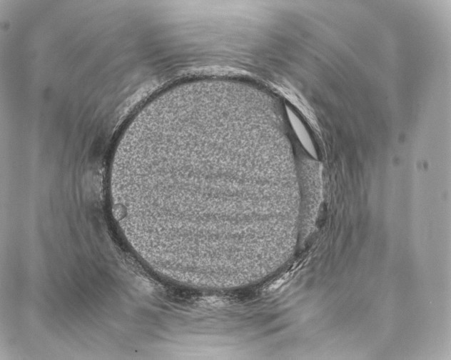 X0000086970111200705141701