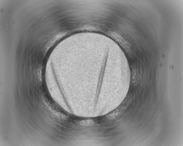 X0000086970112200705141701