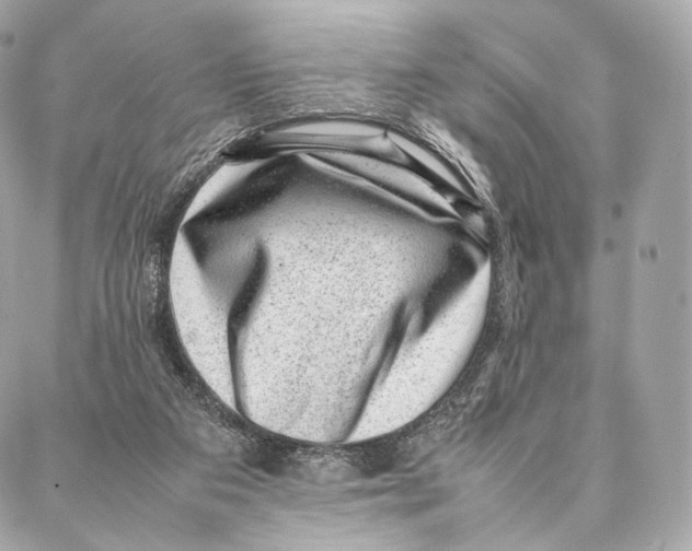 X0000086970113200705141701