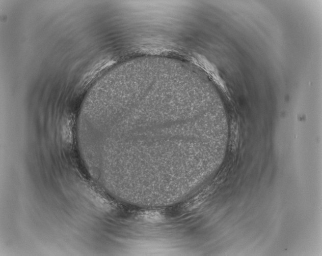 X0000086970114200705141701